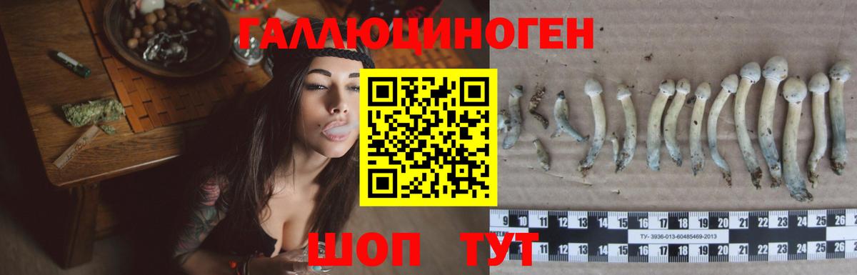 Псилоцибиновые грибы ЛСД  Вход с VPN  Гусь-Хрустальный 